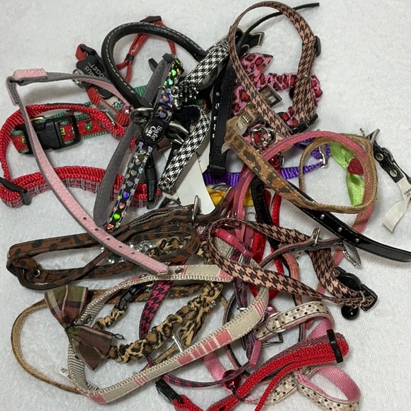 Grab Bag Lot 20+ Small Dog Collars - Picture 1 of 5